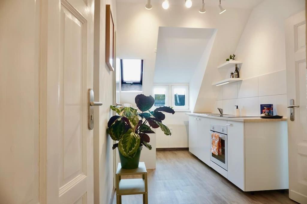 Neu I Moderne Zentrale Wohnung I Netflix I 4 Gaeste Andernach Buitenkant foto
